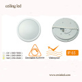 Round Decorate 12W 16W 20W LED Ceiling Panel Light with Ce RoHS